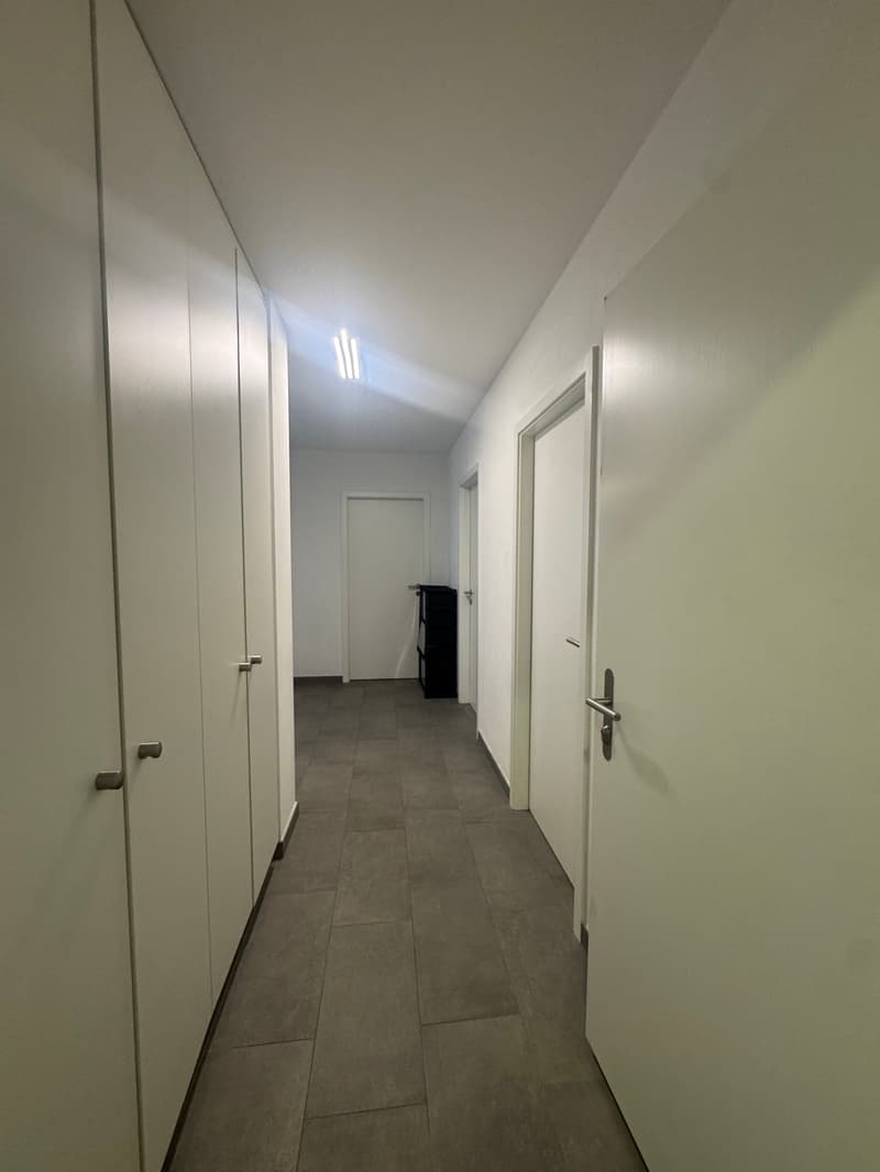 Modern 3.5-room apartment with mountain view in Aproz (Nendaz) (2)