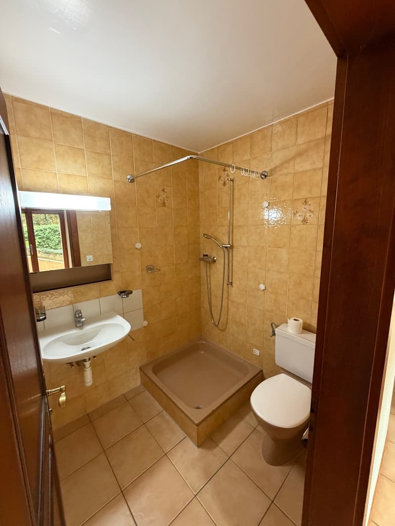 Villa à Saillon – beaux volumes et potentiel de modernisation (17)