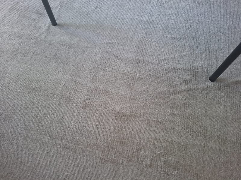 Appartement 1 pièce à Brissago avec vue (2)