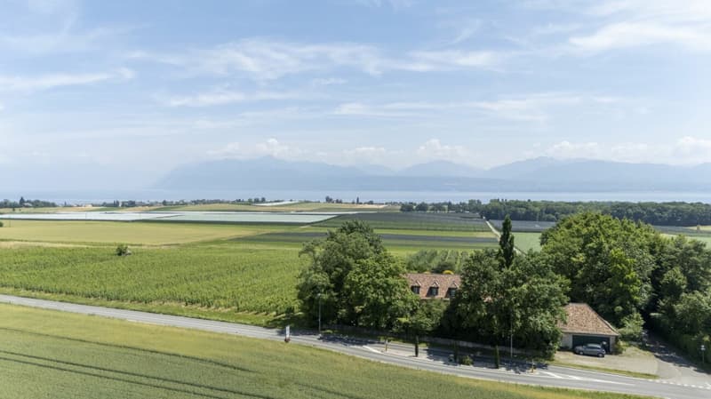 Proprietà eccezionale con vista lago a Etoy (12)