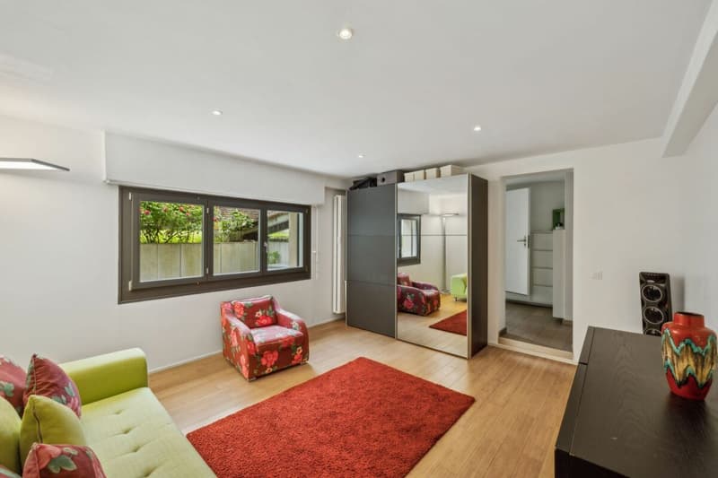 Luxury and nature just a stone's throw from the city center - Private contemporary villa in Grand-Lancy (21)