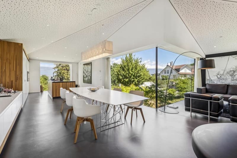 Contemporary architect's villa in the heart of a privileged environment (6)