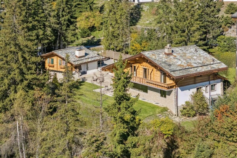 Exceptional Chalet in Crans-Montana (2)