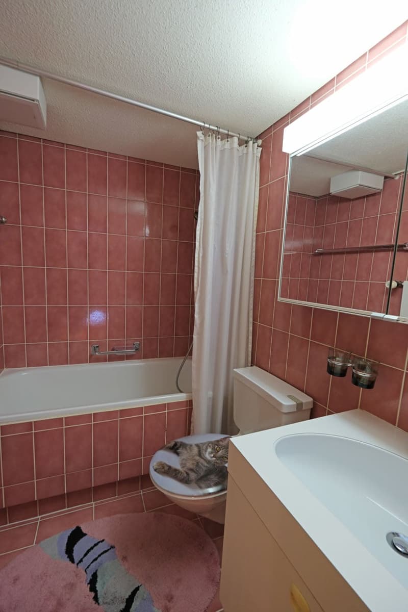 A 2.5-room apartment with a gallery in a prime location in Laax (9)