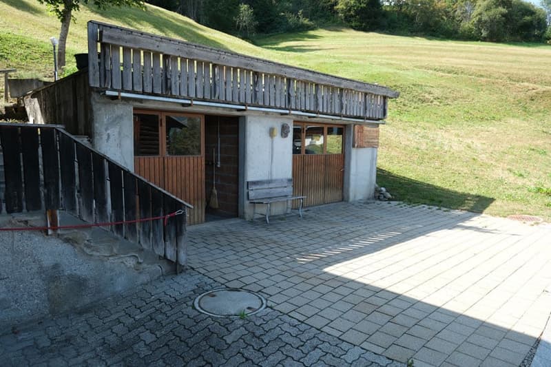 Ein Liebhaber Wohnhas in Zarzana in Obersaxen Mundaun (12)