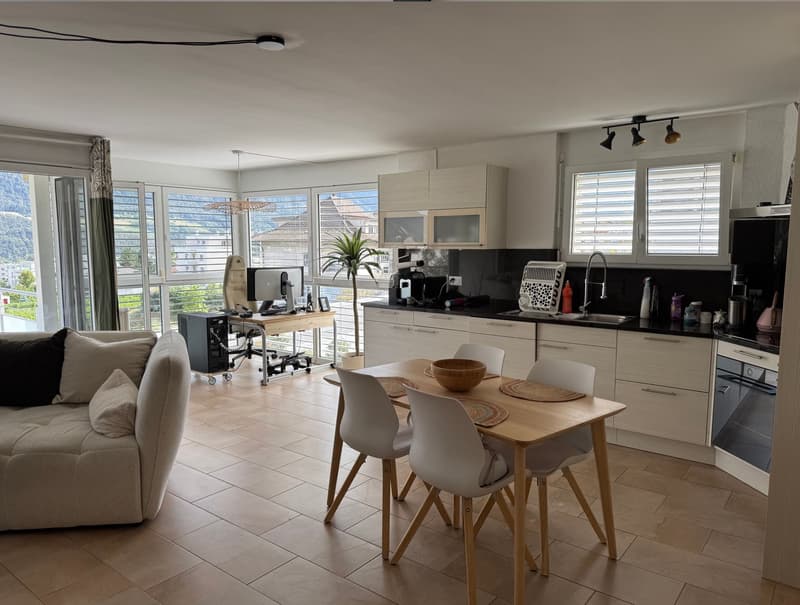 A vendre magnifique Appartement 4.5 pièce (2)
