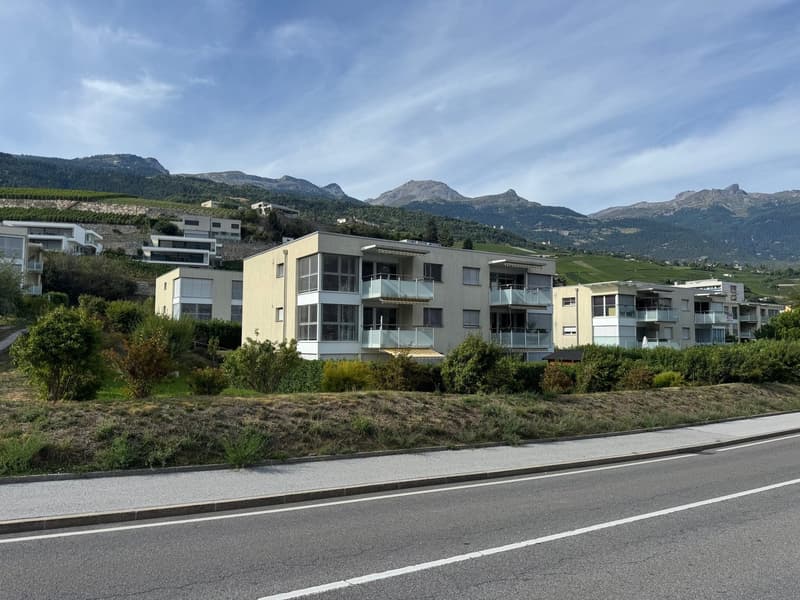 A vendre magnifique Appartement 4.5 pièce (1)