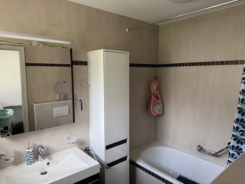 A vendre magnifique Appartement 4.5 pièce (11)