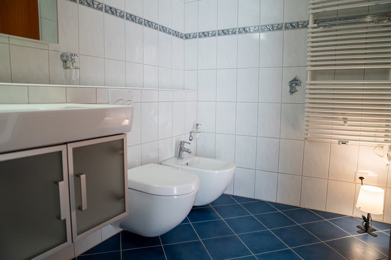 modern bathroom with a white sink, a white toilet, a bidet, a wooden cabinet, and a shower