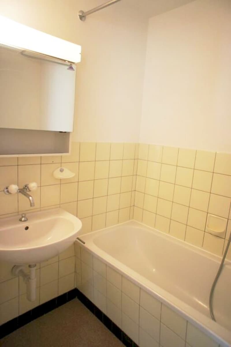 Grosszügige und helle Wohnung an ruhiger Lage! (8)