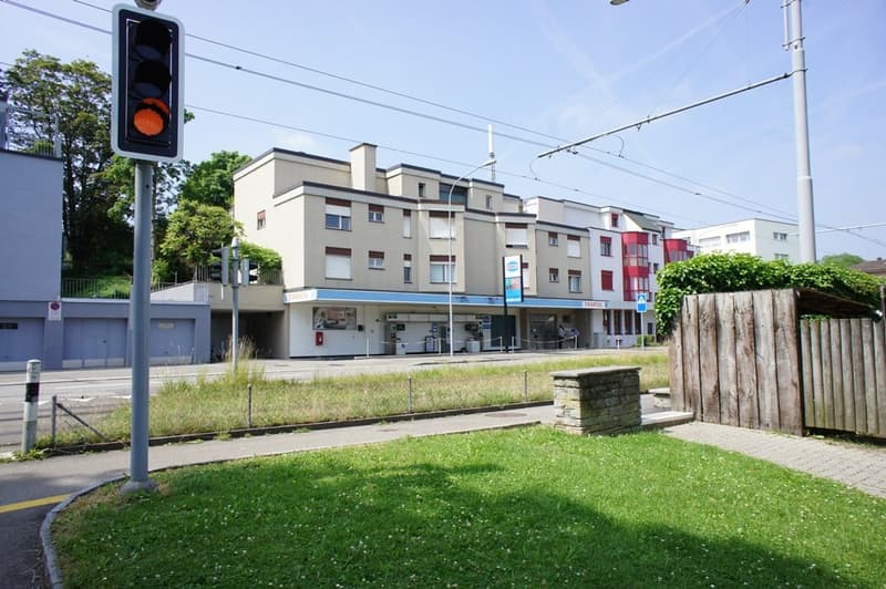 Helle und grosszügige 1.0 ZWG im Zentrum! (1)