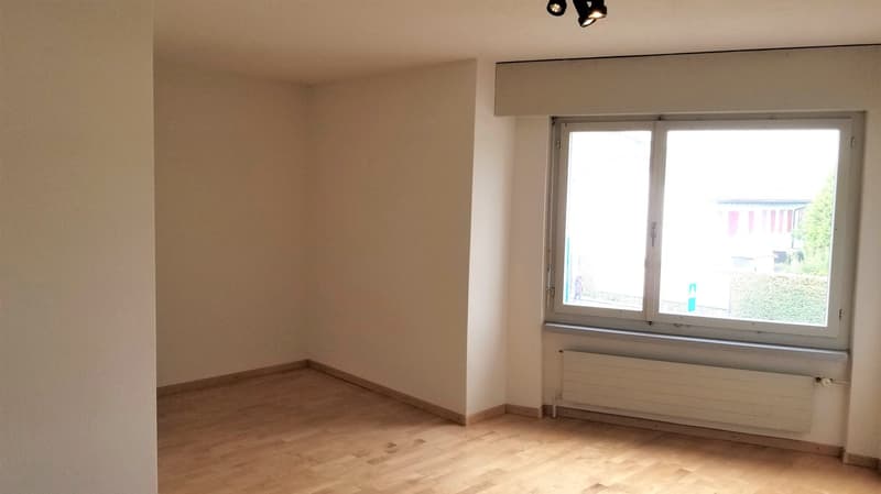 Helle und grosszügige 1.0 ZWG im Zentrum! (4)