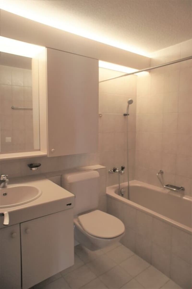 Modern, zentral gelegen, mit grossem Balkon im Grünen! (10)