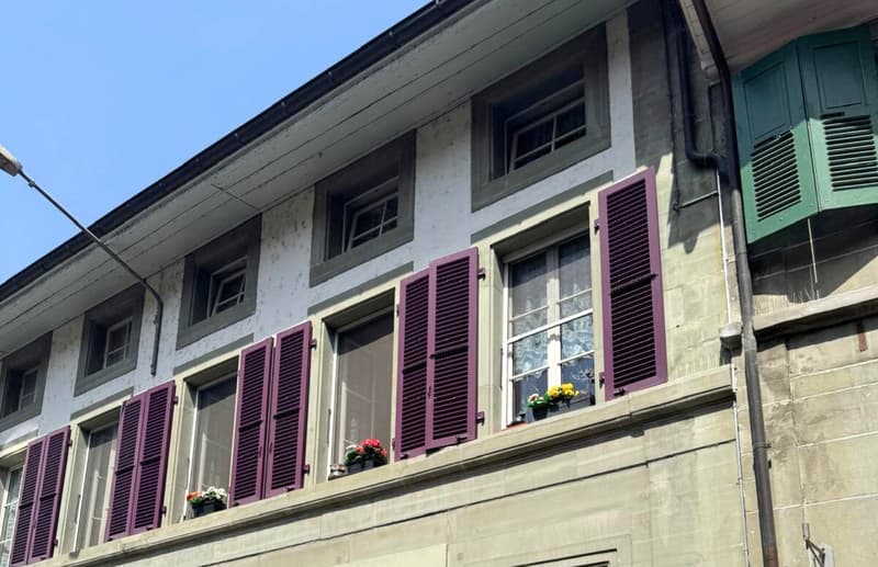 In esclusiva - Appartamento in vita a Moudon – 2,5 locali di 90 m² (2)