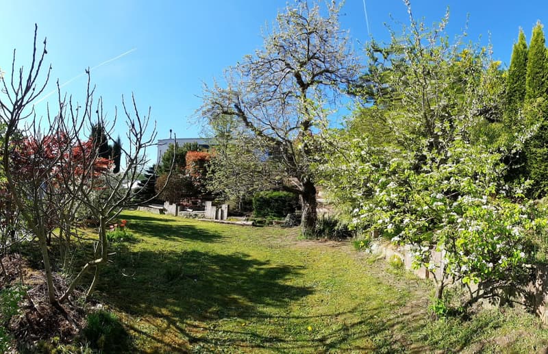 Maison mitoyenne avec viager occupé 5 ans et terrain annexe constructible (6)
