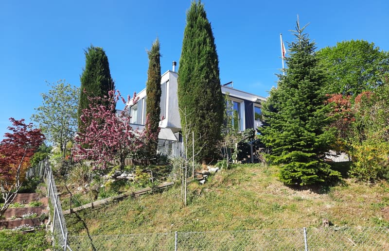 Maison mitoyenne avec viager occupé 5 ans et terrain annexe constructible (12)