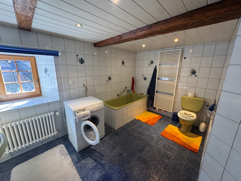 Viager occupied - 5min ski stations - Authentic alpine chalet – Fully renovated – Panex (9)