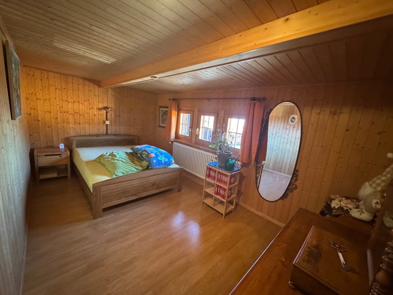 Viager occupied - 5min ski stations - Authentic alpine chalet – Fully renovated – Panex (7)