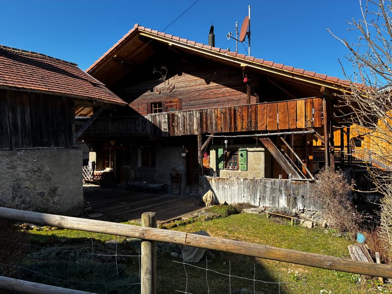 Viager occupied - 5min ski stations - Authentic alpine chalet – Fully renovated – Panex (2)
