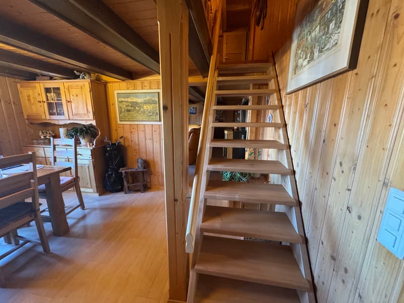 Viager occupied - 5min ski stations - Authentic alpine chalet – Fully renovated – Panex (8)