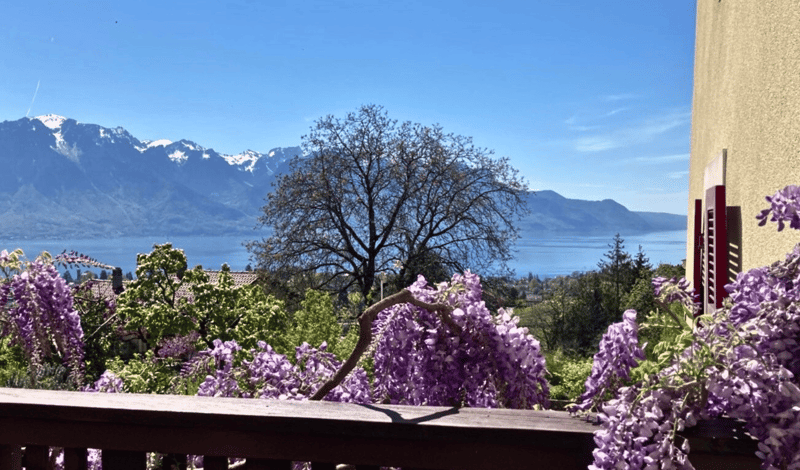 Maison de charme à Brent avec une magnifique vue sur le lac Léman (8)
