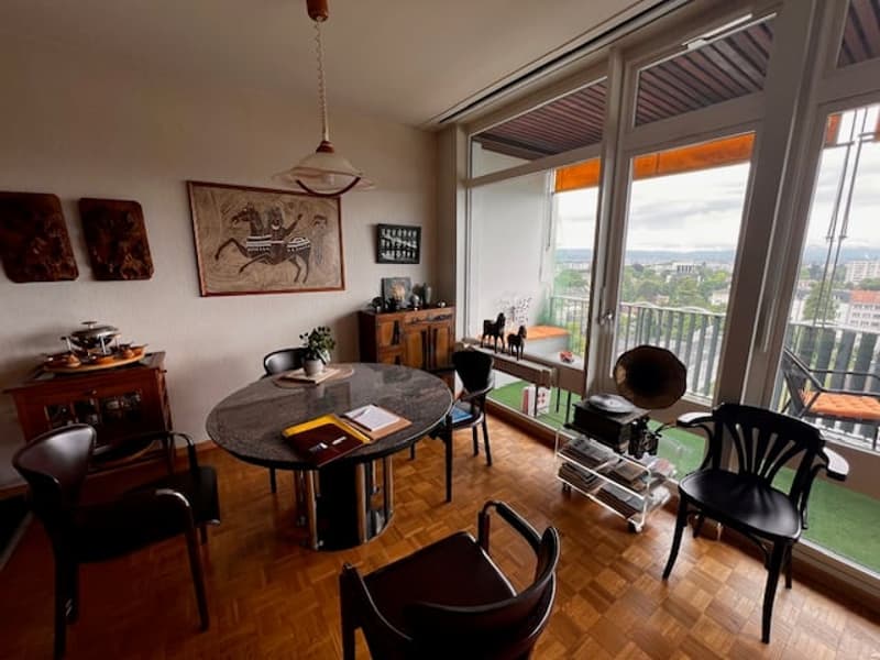Viager – Prächtige Wohnung, Panoramablick und Dachpool - Petit-Saconnex (4)