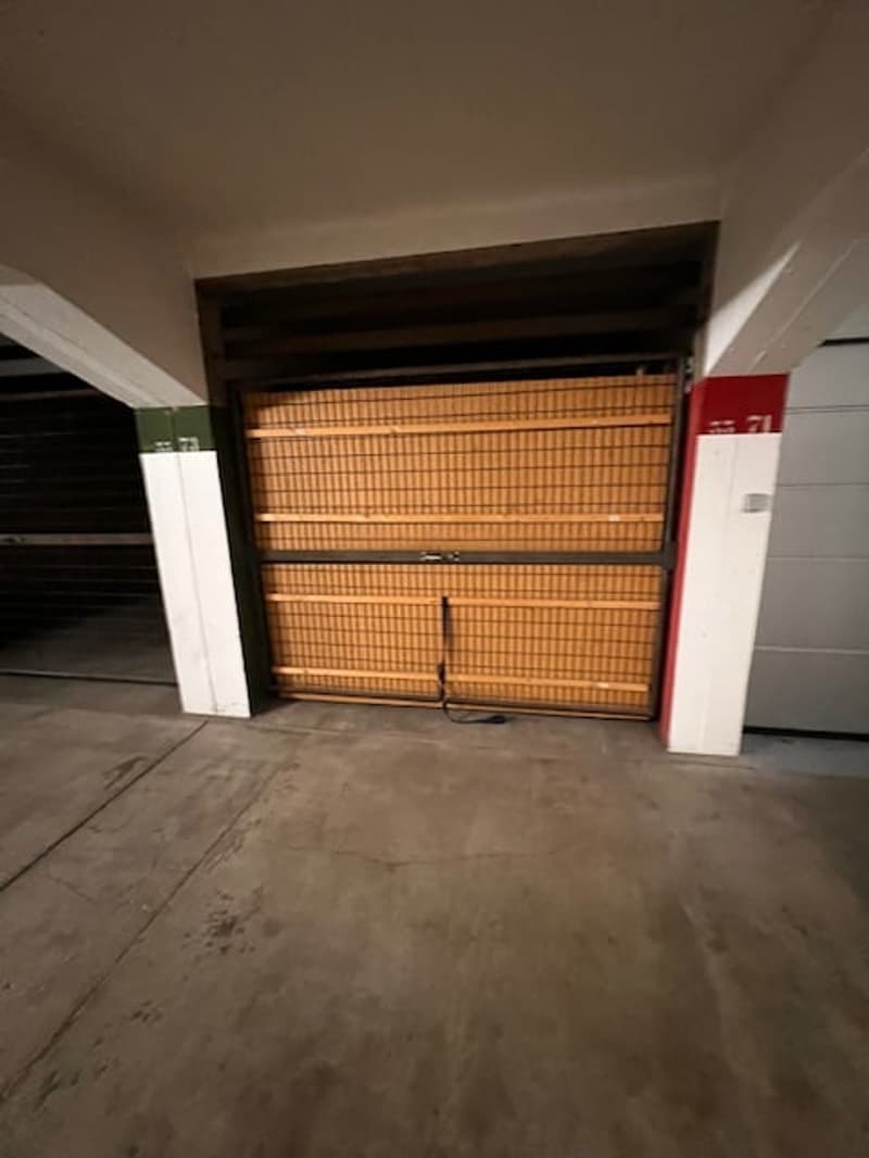 Viager – Prächtige Wohnung, Panoramablick und Dachpool - Petit-Saconnex (10)