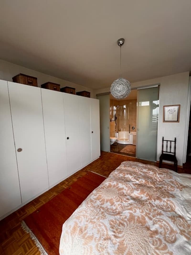Viager – Prächtige Wohnung, Panoramablick und Dachpool - Petit-Saconnex (9)