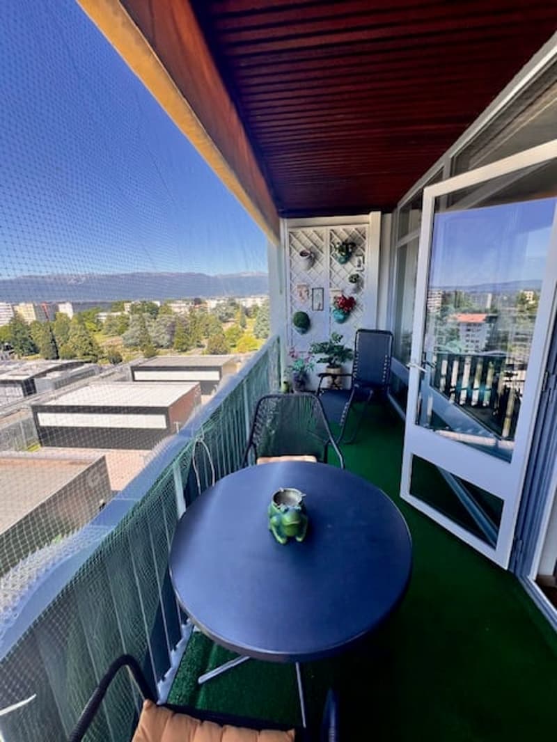 Viager – Prächtige Wohnung, Panoramablick und Dachpool - Petit-Saconnex (6)