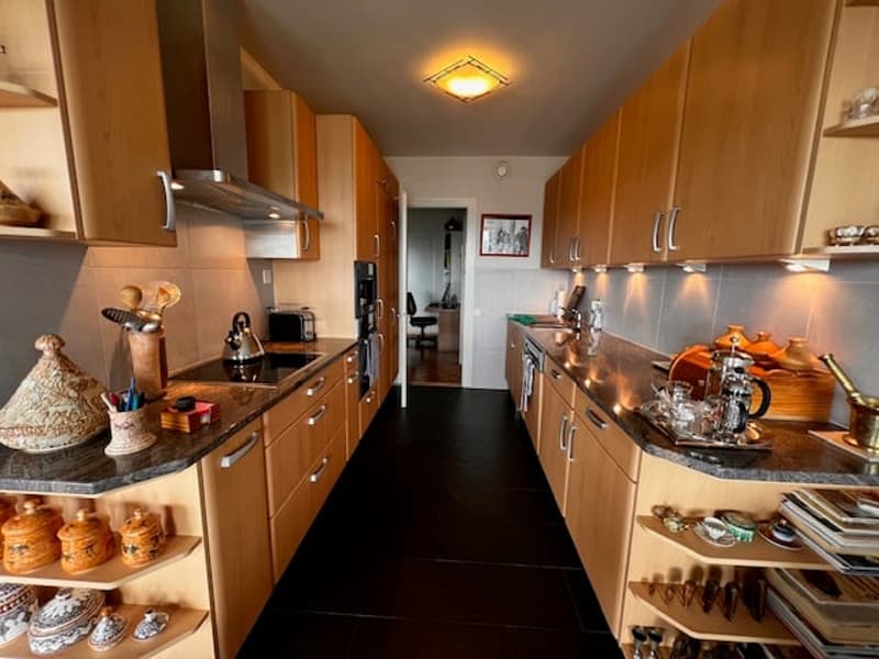 Viager – Prächtige Wohnung, Panoramablick und Dachpool - Petit-Saconnex (3)