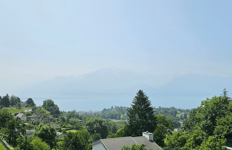 Maison de charme à Brent avec une magnifique vue sur le lac Léman (9)