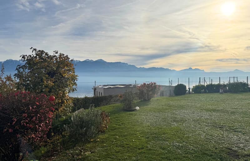En exclusivité - Viager occupé sans rente – Superbe 4 pièces avec jardin et vue sur le lac (1)