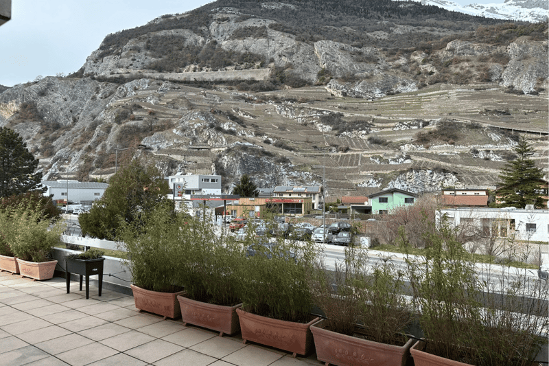 Viager - Opportunité d’investissement avec cet appartement avec terrasse à Ardon (VS) (2)