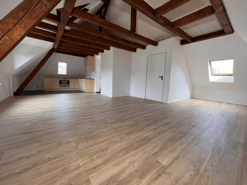Appartement mansardé stylé avec hauts plafonds – modernisé & situé au centre (3)