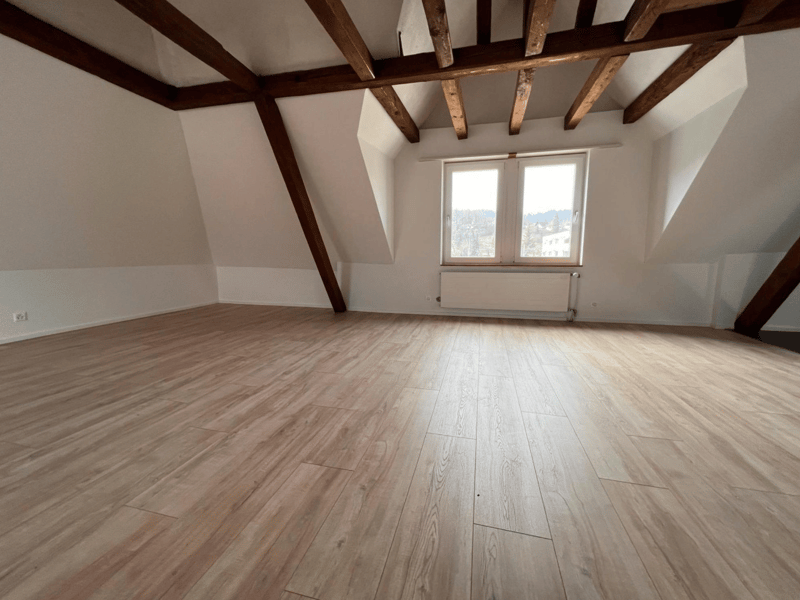 Appartement mansardé stylé avec hauts plafonds – modernisé & situé au centre (4)