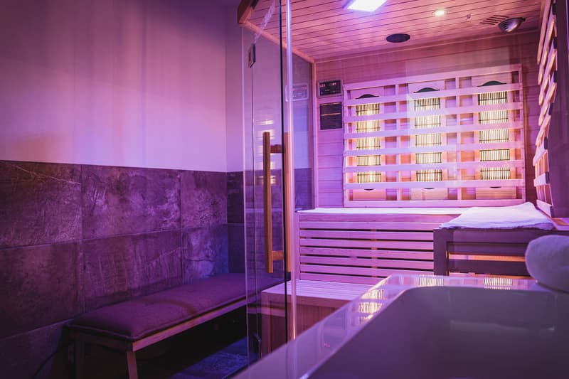 Luxurious Spa Lodge with Whirlpool, Infrared Cabin, and 115.23 m² Living Space at Ötscher (4)