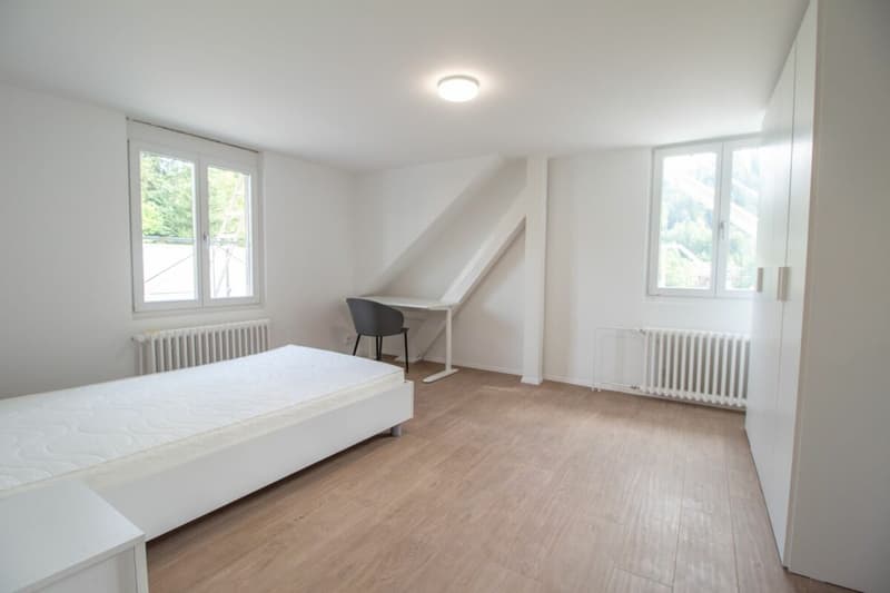 Chambres meublées et rénovées dans des appartements partagés - idéales pour les étudiants ou les célibataires (8)