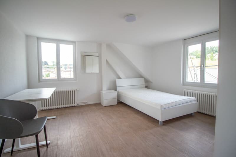 Chambres meublées et rénovées dans des appartements partagés - idéales pour les étudiants ou les célibataires (12)
