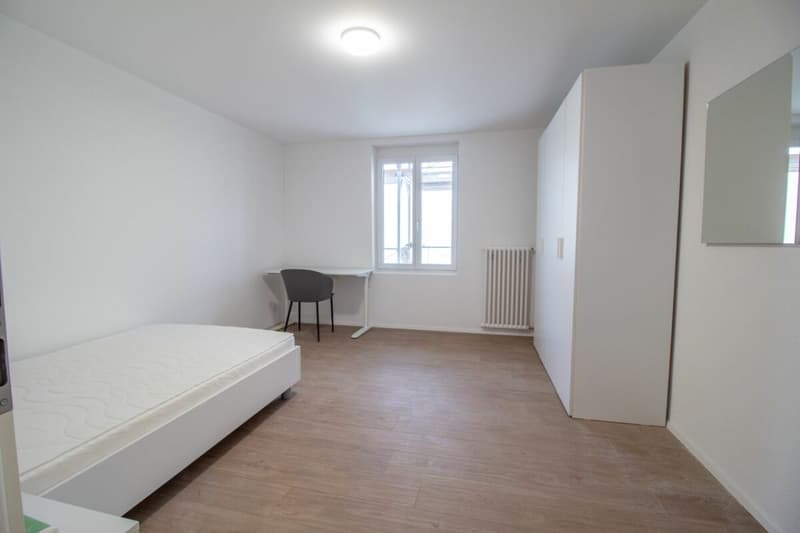 Chambres meublées et rénovées dans des appartements partagés - idéales pour les étudiants ou les célibataires (3)