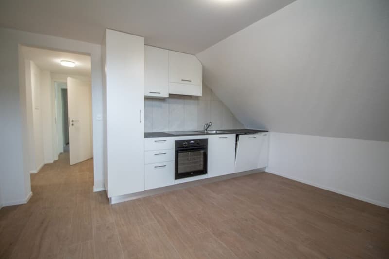 Chambres meublées et rénovées dans des appartements partagés - idéales pour les étudiants ou les célibataires (9)