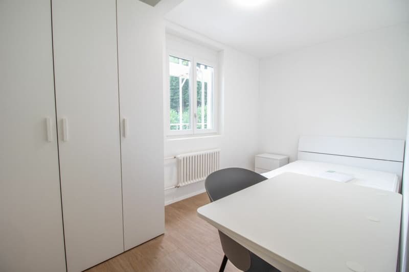 Chambres meublées et rénovées dans des appartements partagés - idéales pour les étudiants ou les célibataires (14)