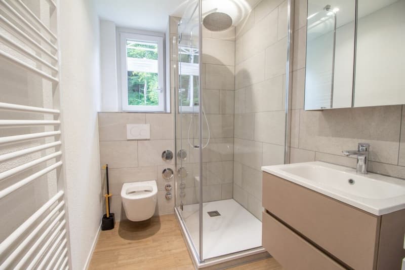 Chambres meublées et rénovées dans des appartements partagés - idéales pour les étudiants ou les célibataires (4)