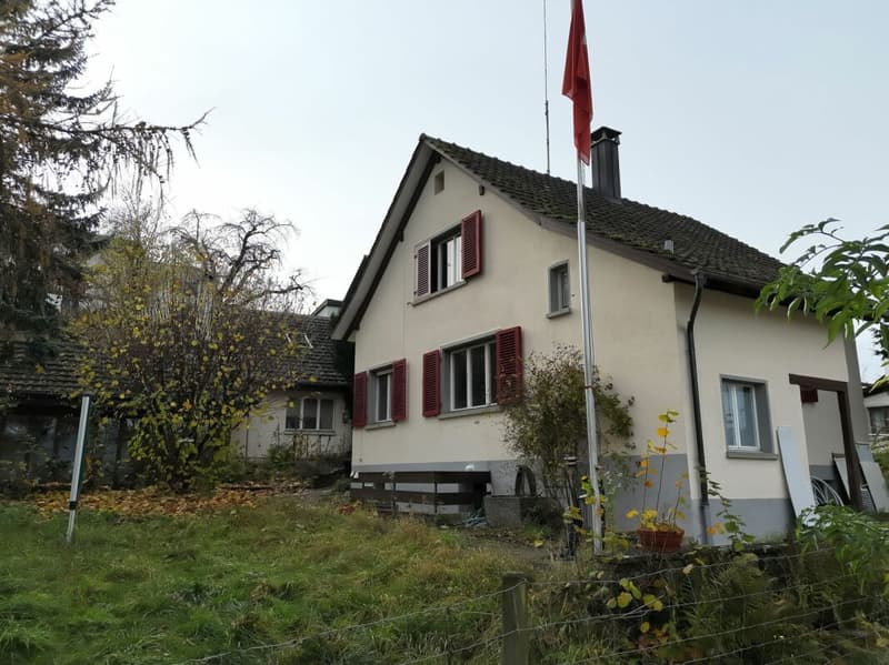 Einfamilienhaus mit grosszügigem Grundstück von 996 m² (4)