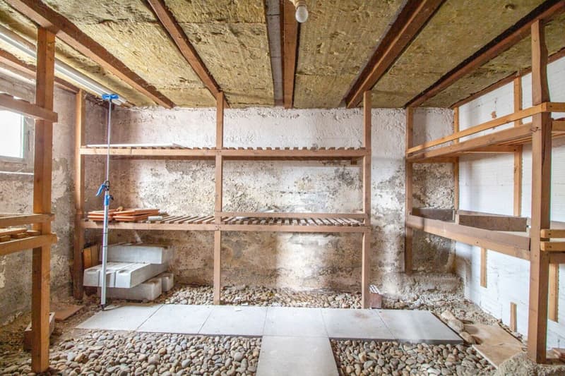 Detached single-family house with potential, separate large workshop/garage building (24)