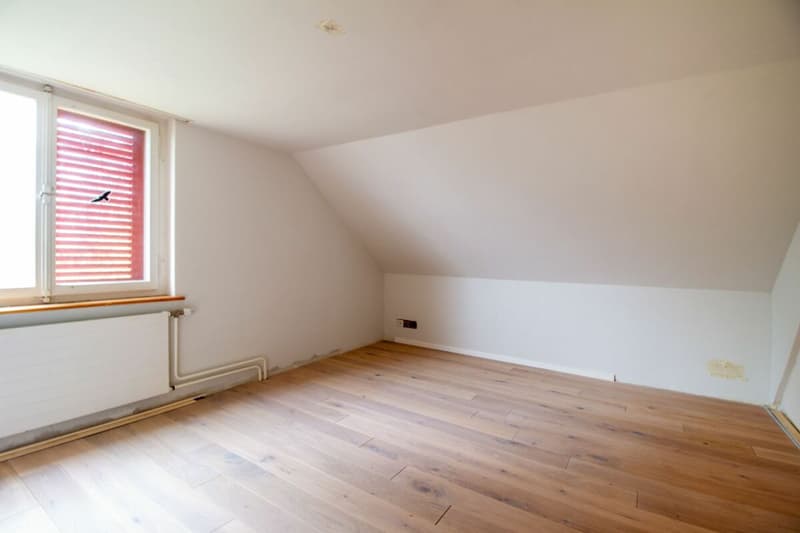 Detached single-family house with potential, separate large workshop/garage building (11)