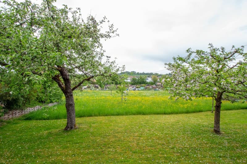5.5-room semi-detached house with converted attic and view (25)