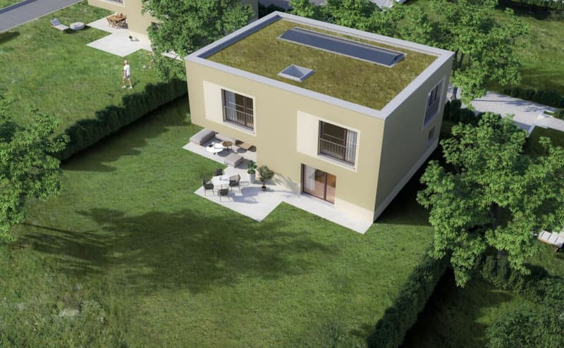 Neubau: freistehendes 5.5-Zi.-Einfamilienhaus in Eschenz (4)