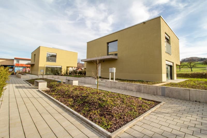 Neubau: freistehendes 5.5-Zi.-Einfamilienhaus in Eschenz (5)