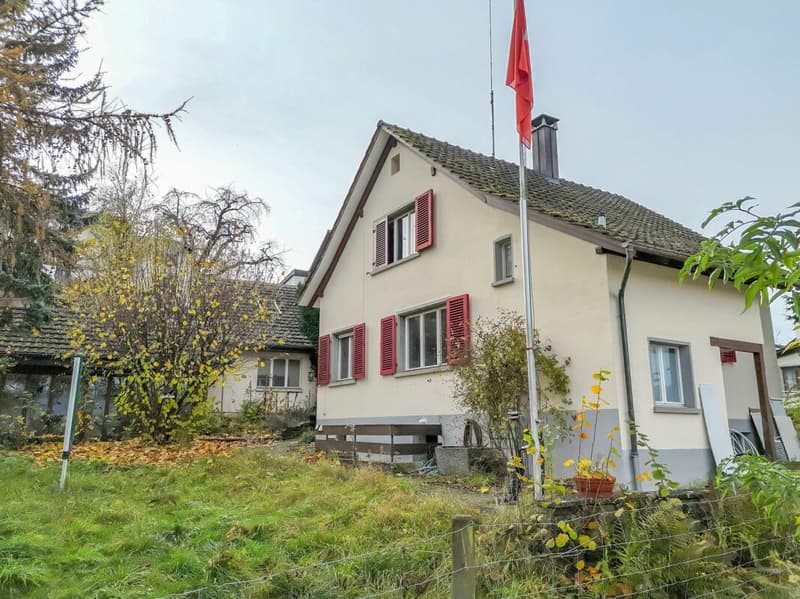 Freistehendes Einfamilienhaus mit Potenzial, separater grossen Werkstatt-/Garagengebäude (1)