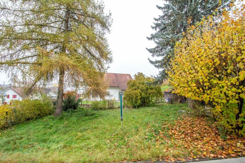 Freistehendes Einfamilienhaus mit Potenzial, separater grossen Werkstatt-/Garagengebäude (5)